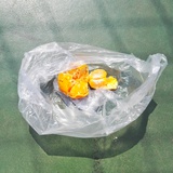 李芽热聊体育