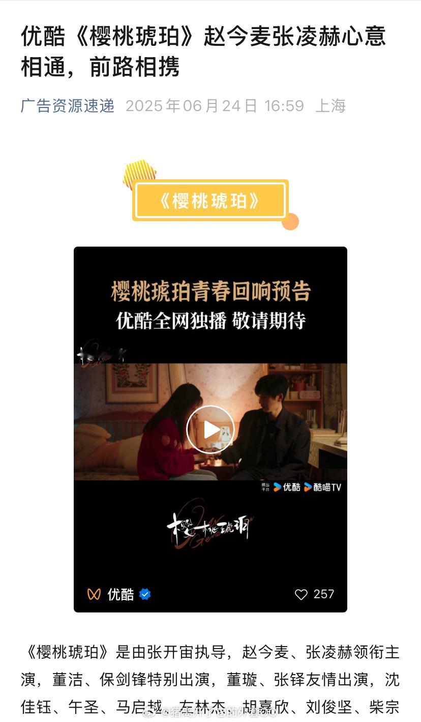 赵今麦、张凌赫《樱桃琥珀》开启播前招商，预计今年第三季度在优酷/央八播出！！[打