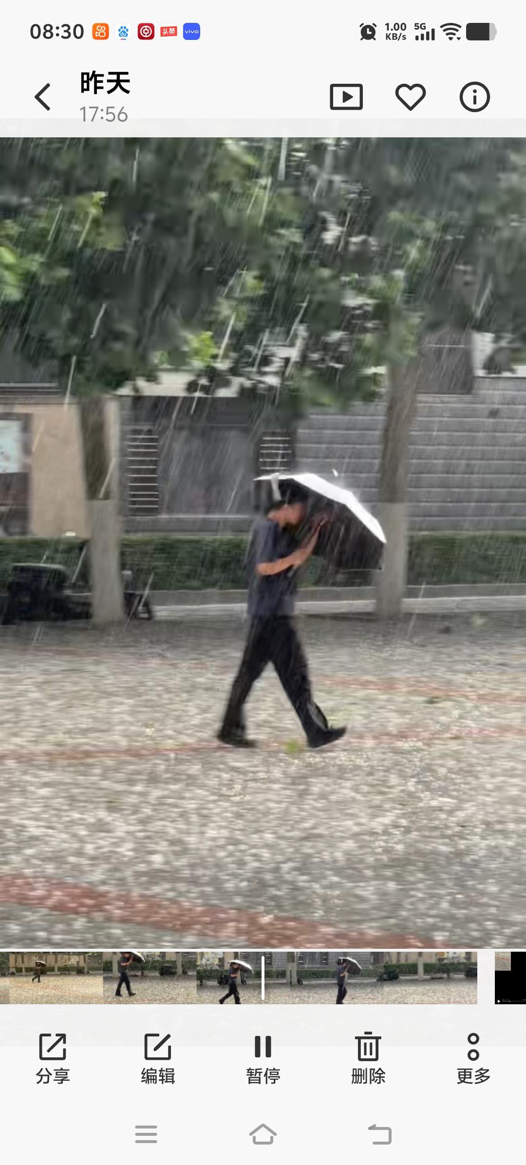 大连局部地区昨天傍晚下了一阵冰雹，樱桃毁了，地里的菜毁了，靠天吃饭的人欲哭无泪。
