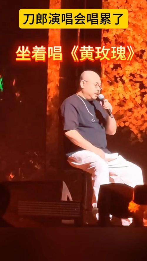 您看现在有些演唱会，歌手台上衣服换得勤，跟时装秀似的。可人家刀郎呢？一件普通T恤