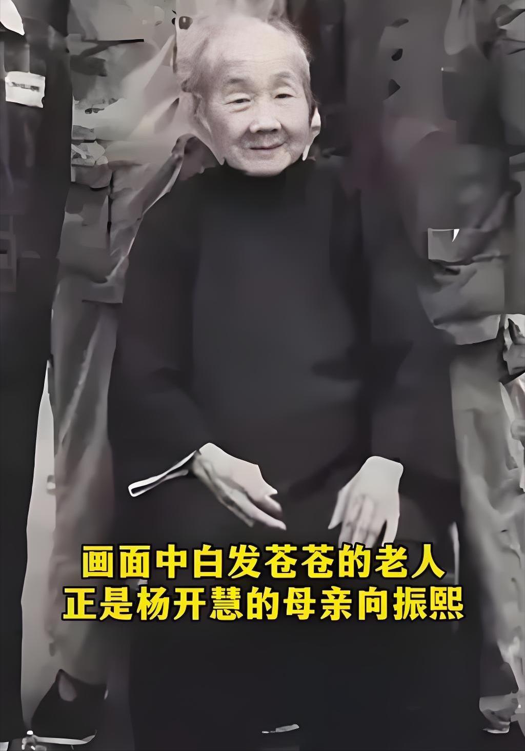 解放后，杨开慧的母亲向振熙老人跪地痛哭，她哭的不是逝去的女儿，而是替那个隐忍二十