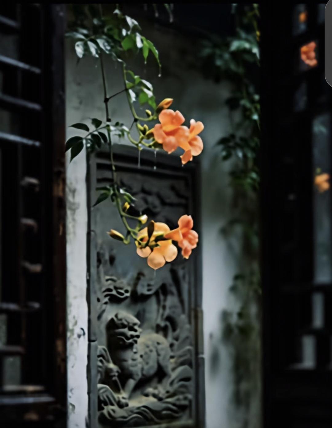 在婚姻中
你可知道最讽刺的是什么
我要告诉天下的女人们
一个什么都不付出的女人