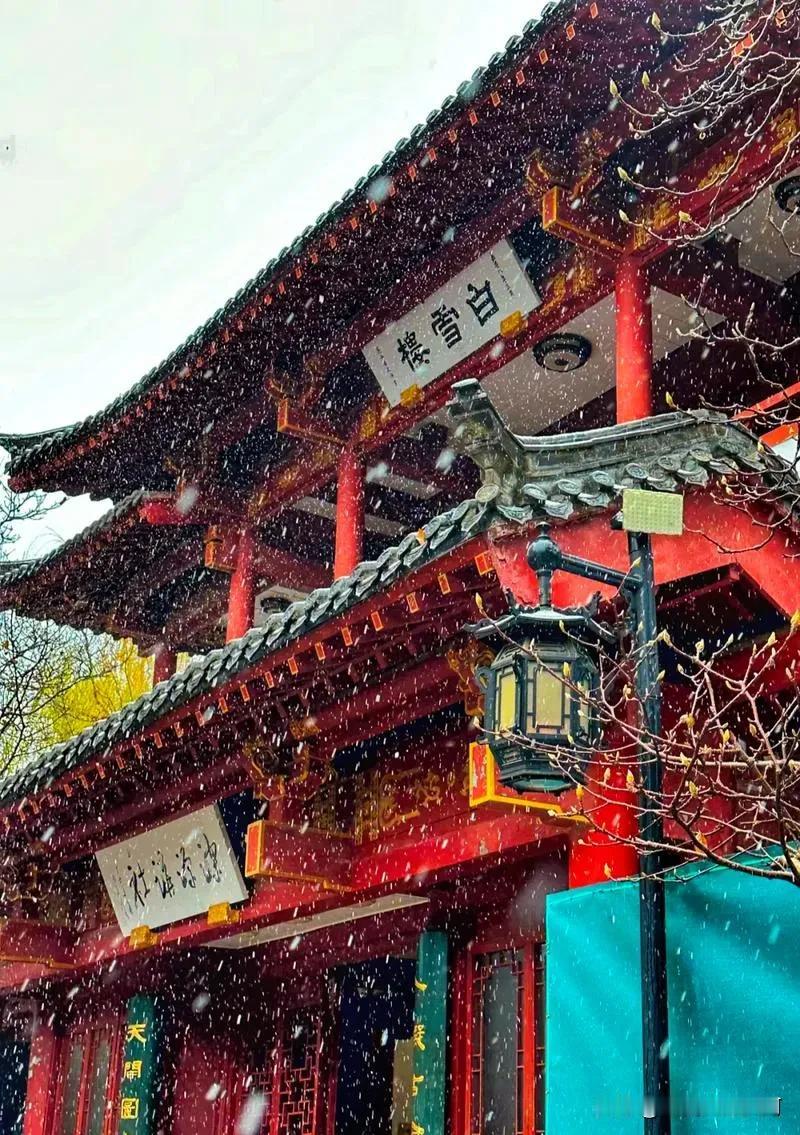 《清平乐·春雪寒》
      一山东泉城突降暴雪有感
            