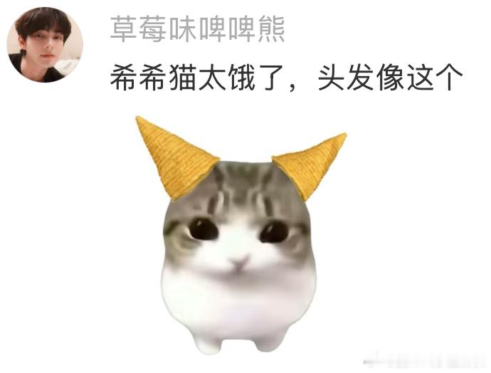 确实何伟头发有两缕飘起来了就像猫的妙脆角，不过他就连这种暴风进食的样子都可爱，，