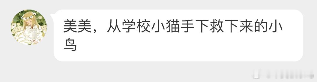 #野生动物与流浪猫# 这次被解救的是一只【白胸苦恶鸟】校园里的流浪猫不愁吃喝，是