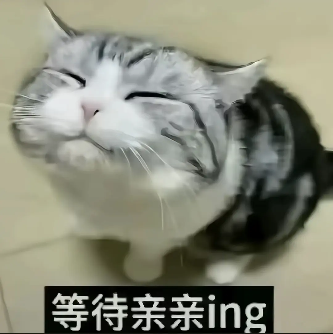 看似是小狗其实是小猫
