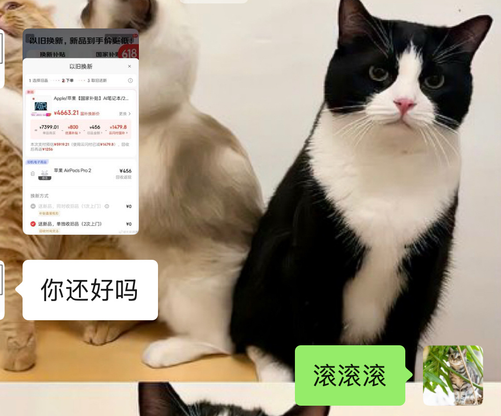 有的同事真的很关心我就连我Macbook买贵了多少，又降价了多少都会及时通知我生