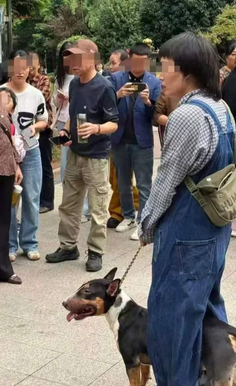 四川眉山那个狗主人，
这次真不是赔钱能了事的，
家属想掏钱和解？估计没可能，造成