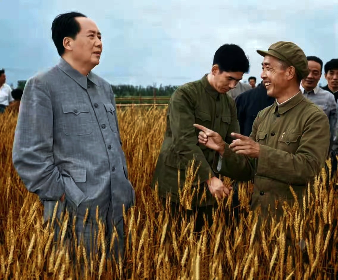 走进田间地头，贴近群众生活！从群众中来，到群众中去！
