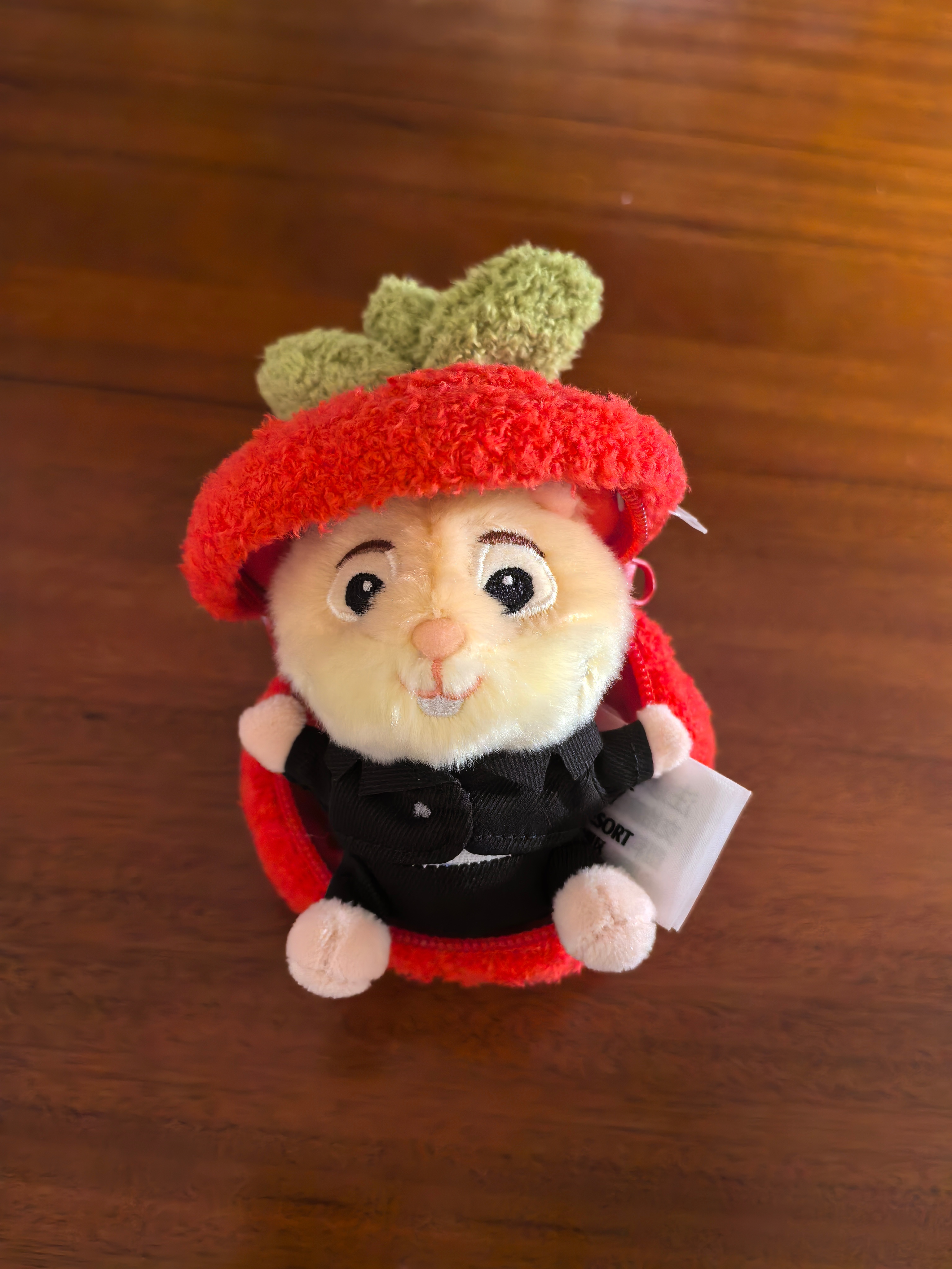 昨天收到了刘宇宁同款树莓旅鼠，超可爱呀！其实我之前买的是🍉olu，但是刘宇宁一