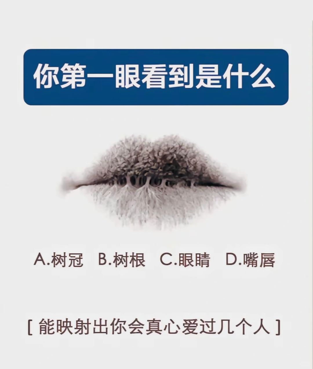 你第一眼看到了什么？
