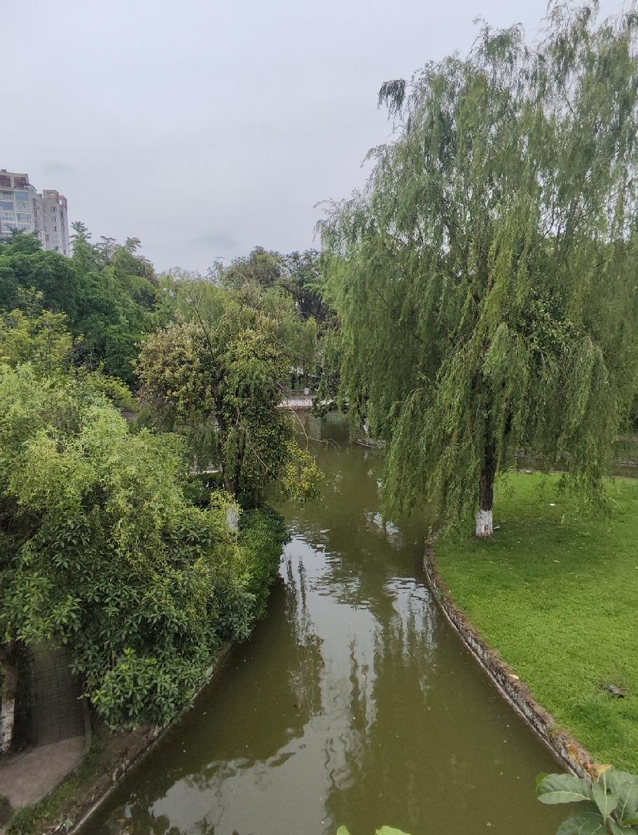 闲观园溪
 
一渠柔水绕城隅，两岸繁阴覆浅途。
垂柳千丝垂碧岸，平芜寸草铺青垆。