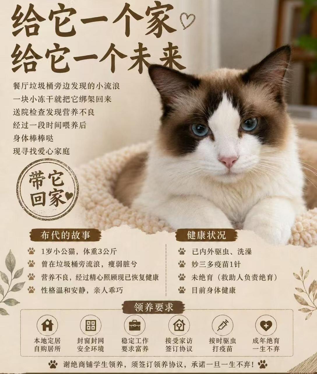 珠海，救助的布偶猫寻找爱心领养

宠物品种:布偶
宠物名 ：布代
性别 ：男
年