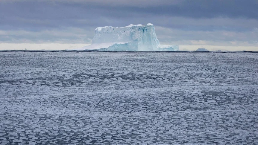 乌科学家被捕事件发酵，俄被指觊觎南极石油
