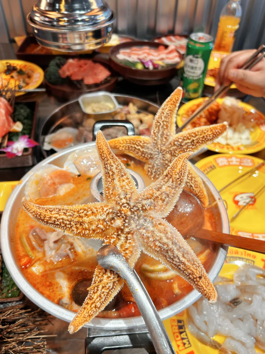 自助特种兵！实现烤肉自由！