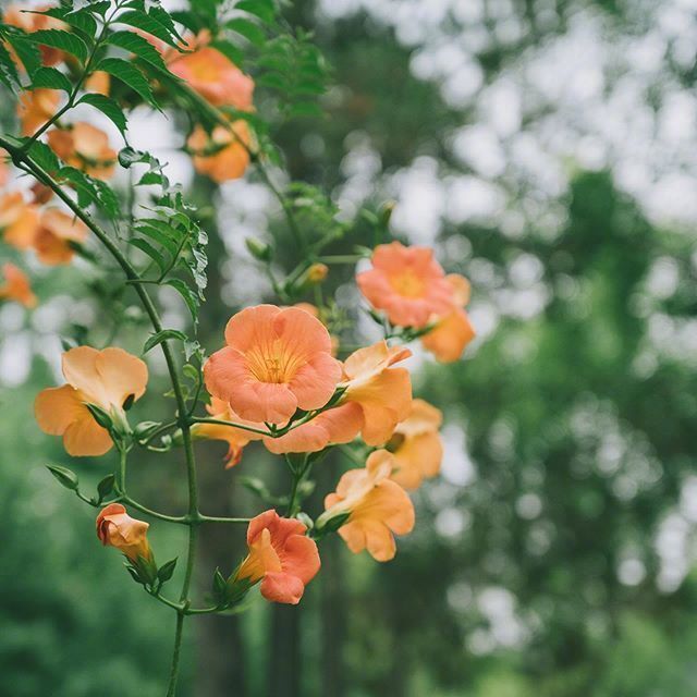 只愿世间风景千般万般熙攘过后，字里行间，人我两忘，相对无言。——安妮宝贝《清醒记