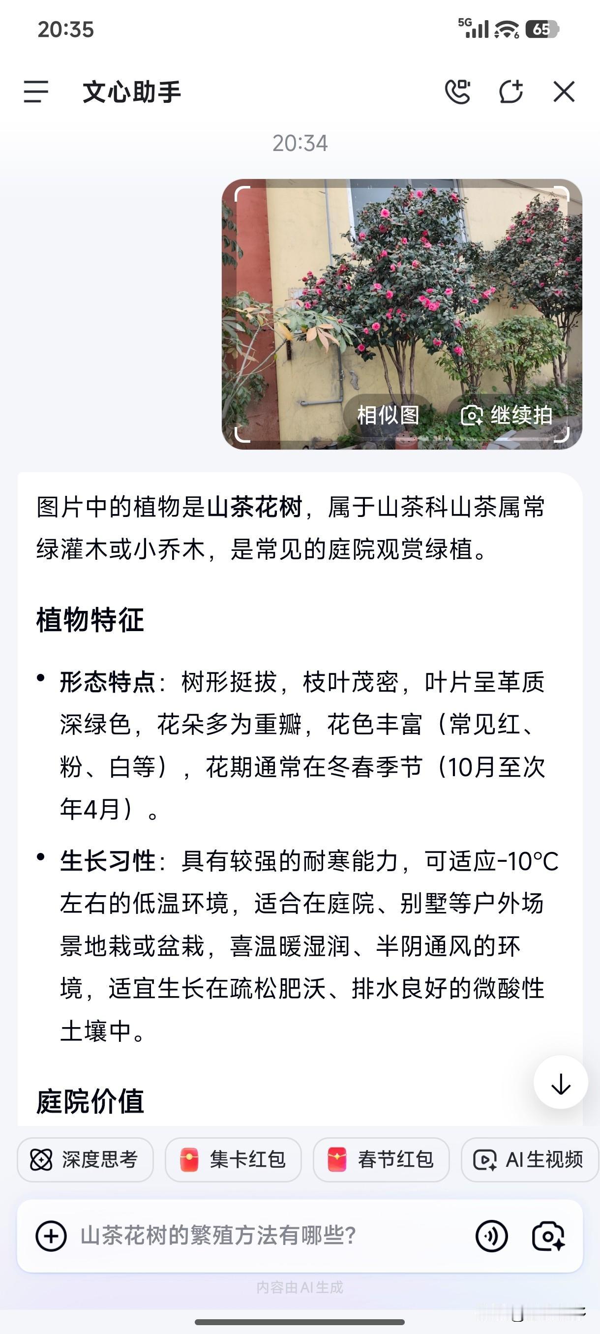 冬日生活打卡季AI真厉害！厂房前种了多年的花我一直以为是玫瑰花但又不确定，今天问