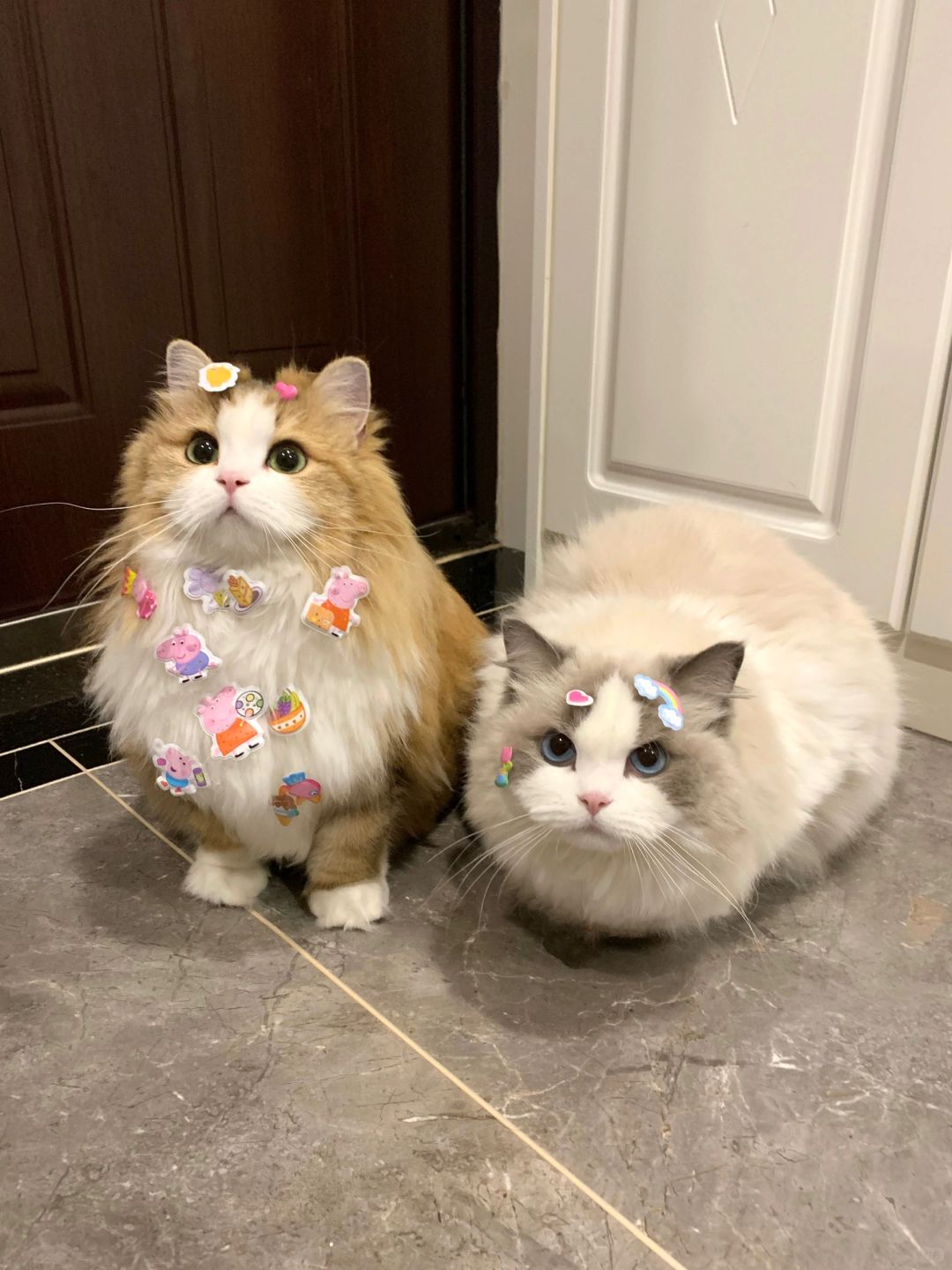 贴纸的多少决定受欢迎的程度