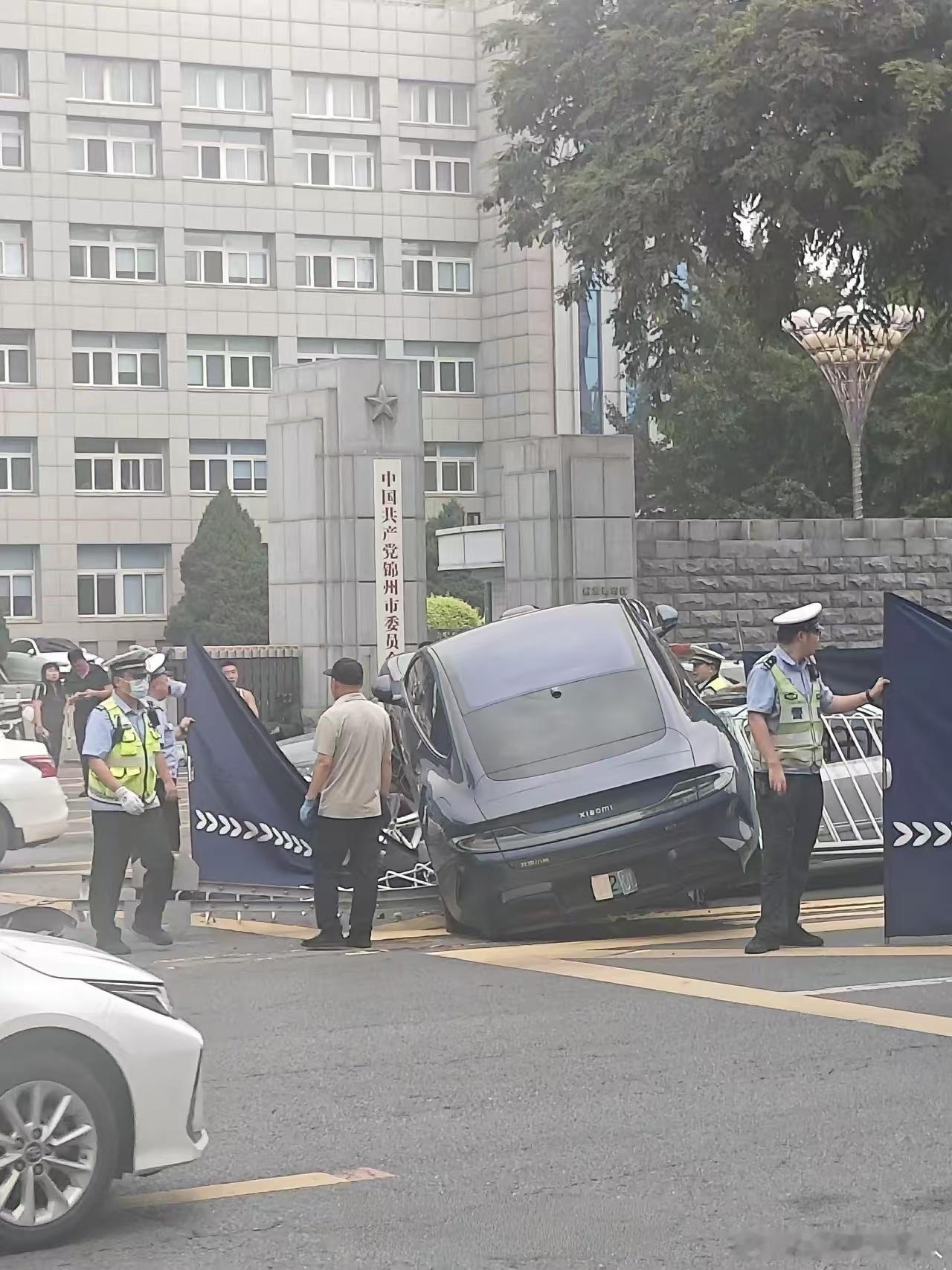 大胆。。。这地儿是你能随便撞的地方吗 ​​​