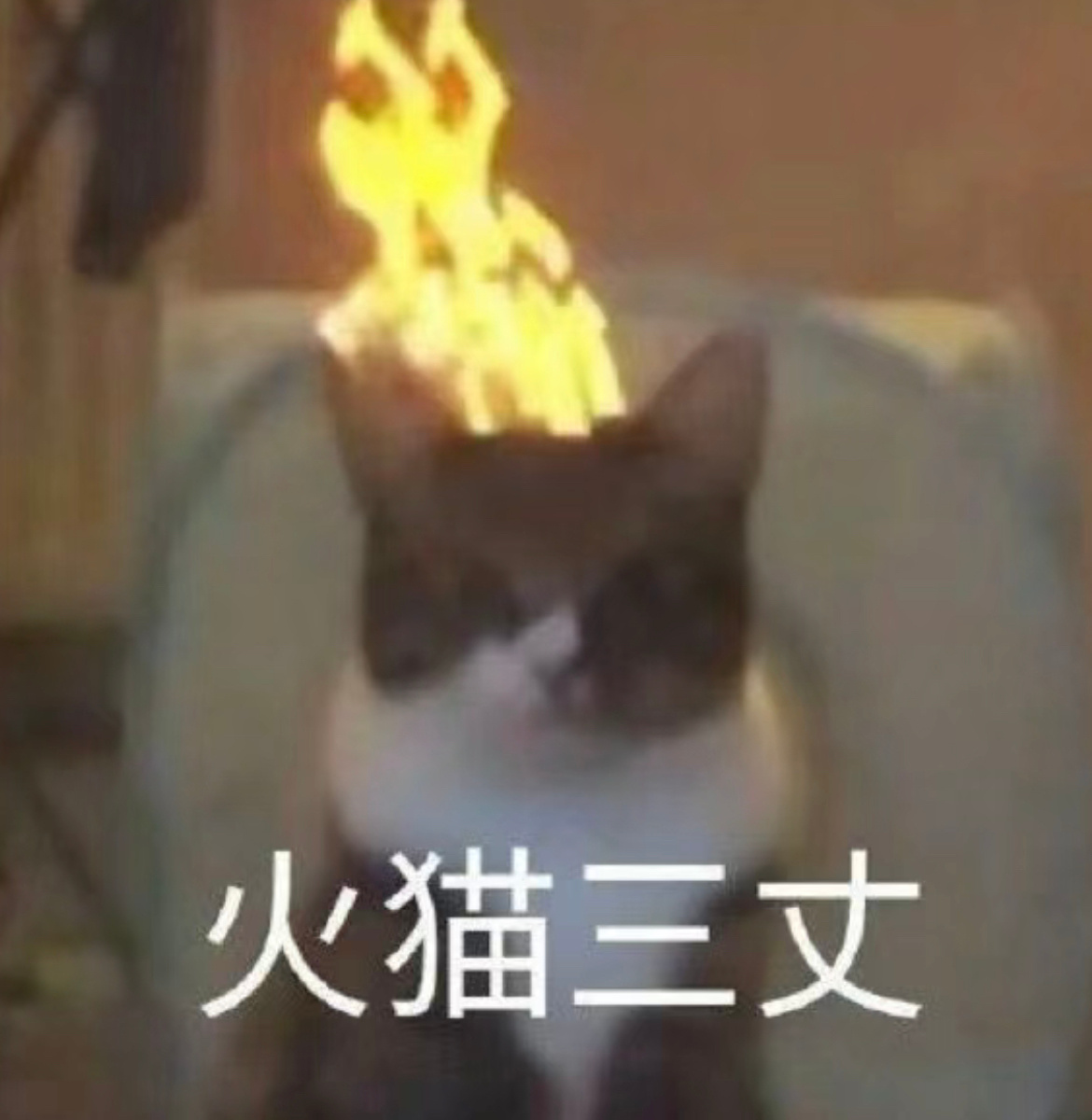 我的妈呀……接着之前那个up看流星雨的吐槽，我记得当时第二部播的时候，还是小学鸡