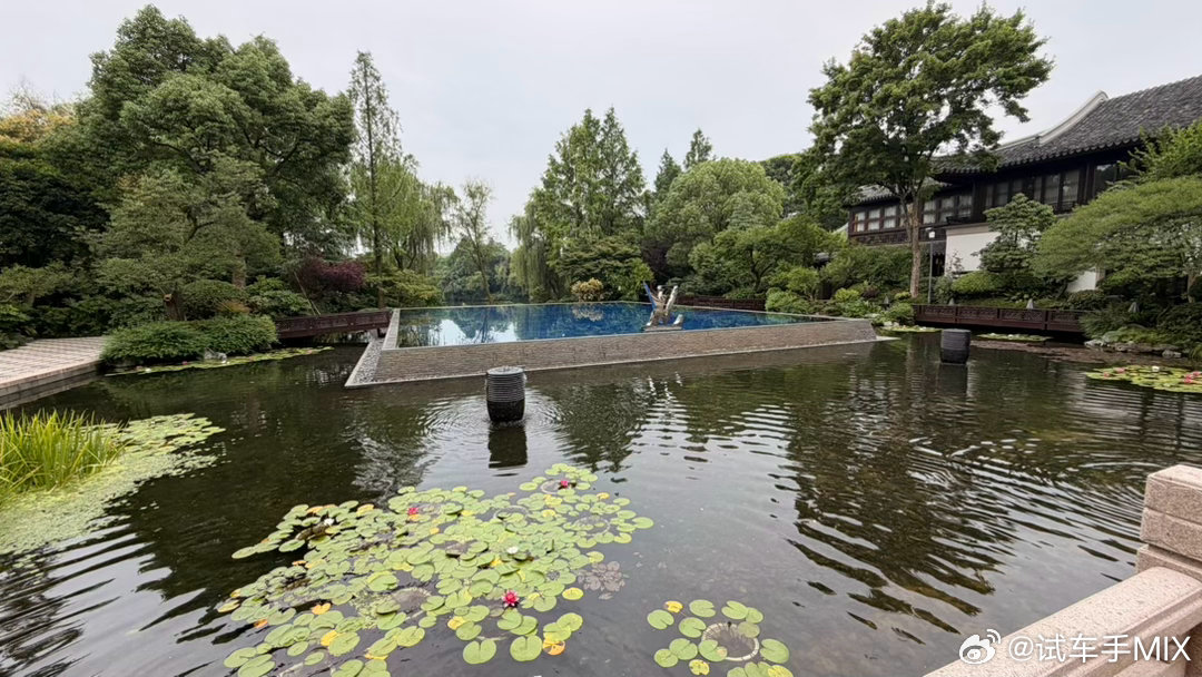 最近杭州的天气都很舒服微微凉、下着点小雨在西湖附近逛逛很治愈有种瞬间什么都不想理