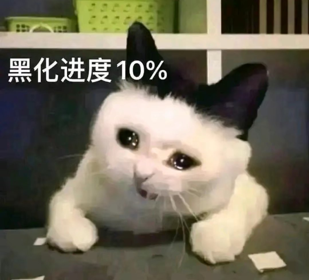 是不是不花火的话就把别人当.....啊啊啊啊啊#meme# ​​​