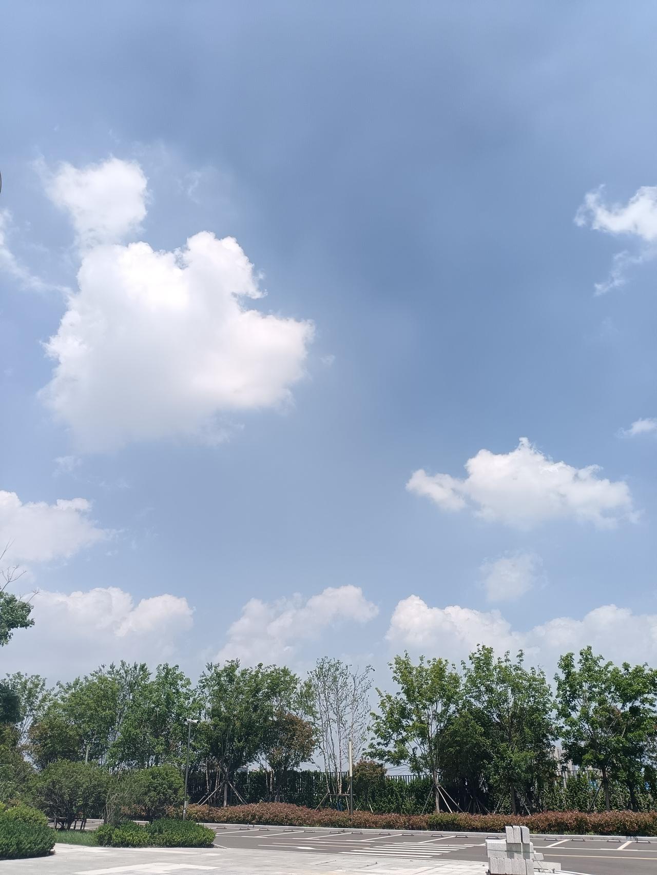 晴云漫卷，风拂新绿，天地间漾着一夏的温柔。
