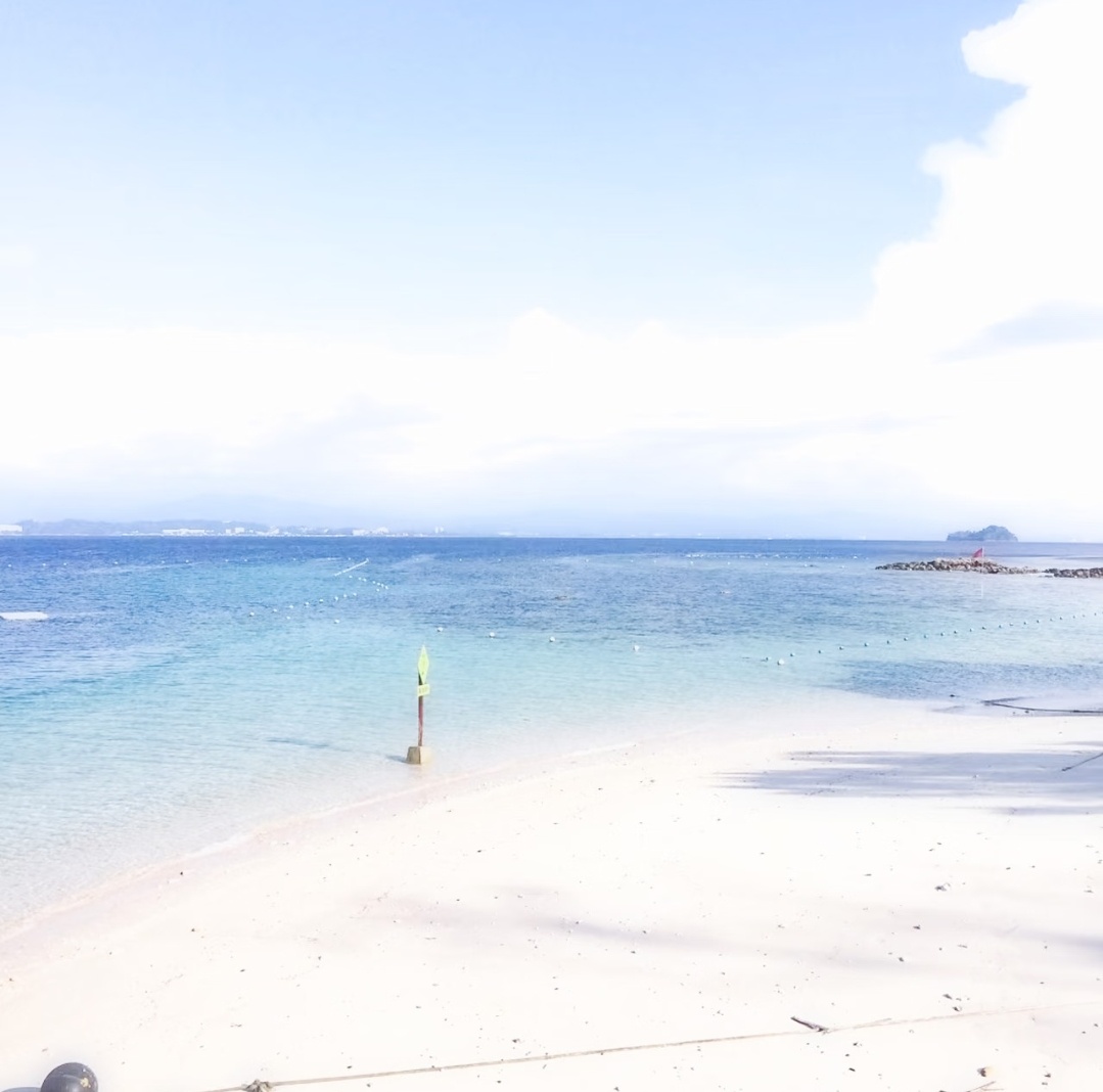 -𝐒𝐇𝐀𝐑𝐄｜Moka境萌花头像背景图搭配 ⸝⸝🌊꙳🏖◟🫧。 