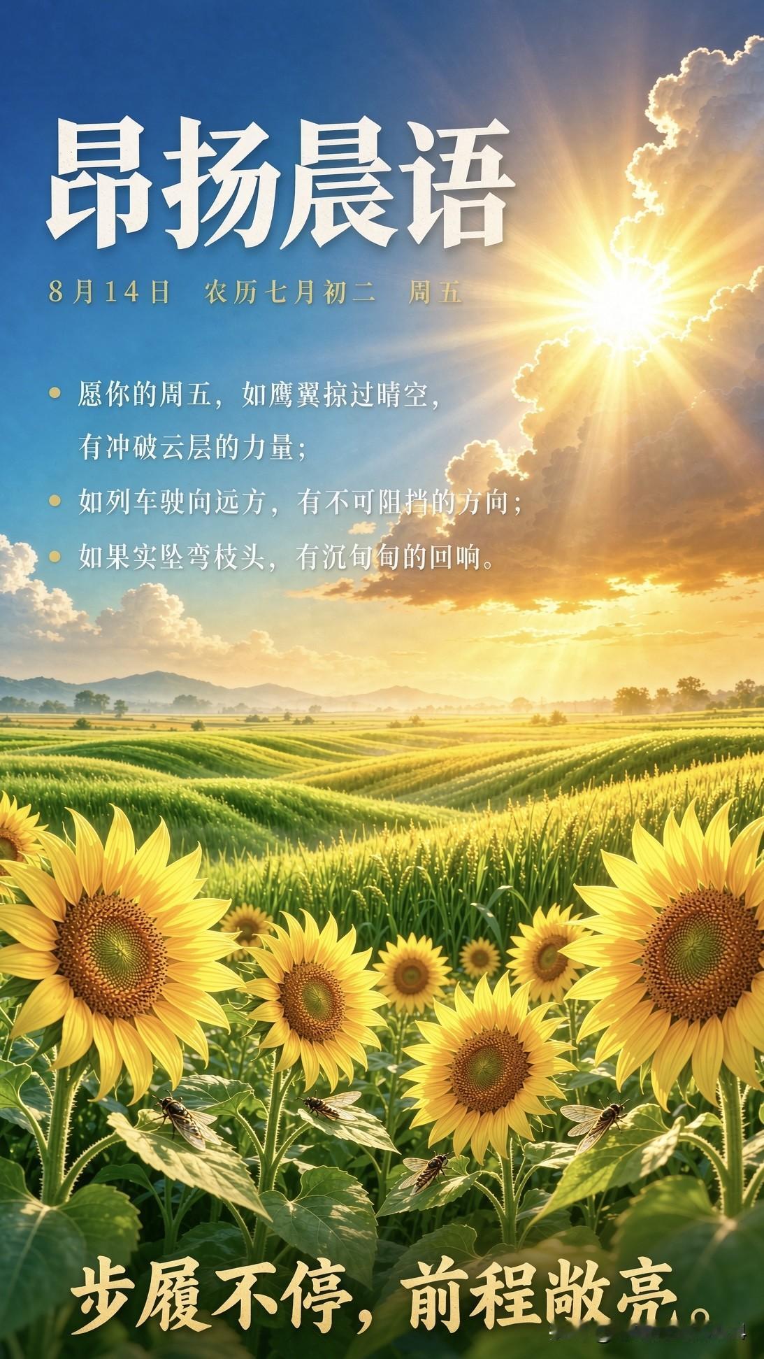 🍃꧂🌞早上好💕᭄🌿☕️
向日葵昂首，
把脸庞整个迎向朝阳；
蝉鸣拔高调门
