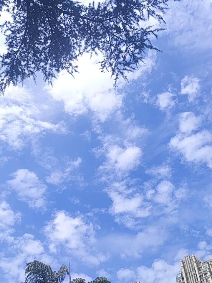 昆明的晴天简直绝了！每次抬头看天，空中的云就像一群调皮又充满创造力的艺术家。一会
