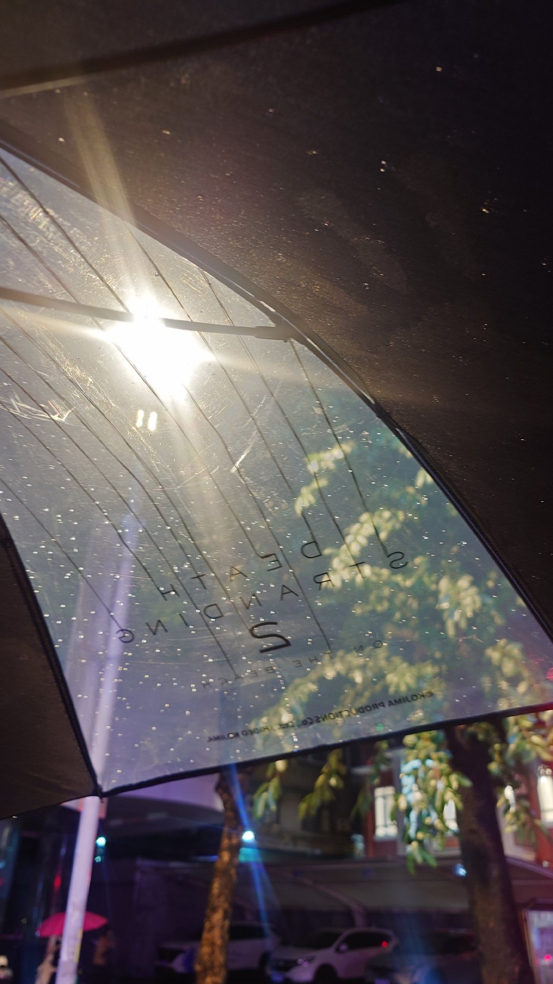怪好看的（但雨不大伞上的手印大概出不来） 