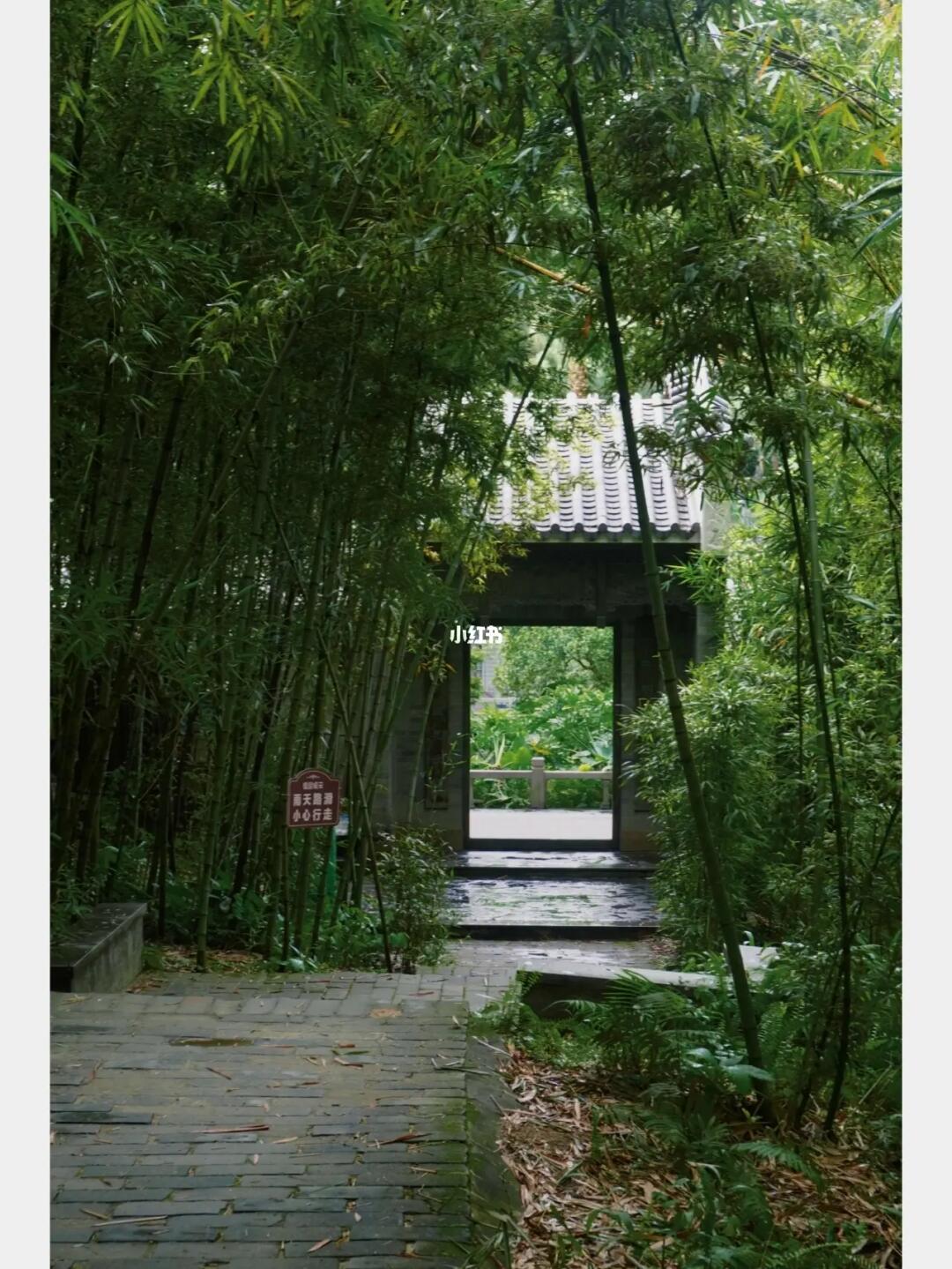 “东莞藏着一处仙林秘境”