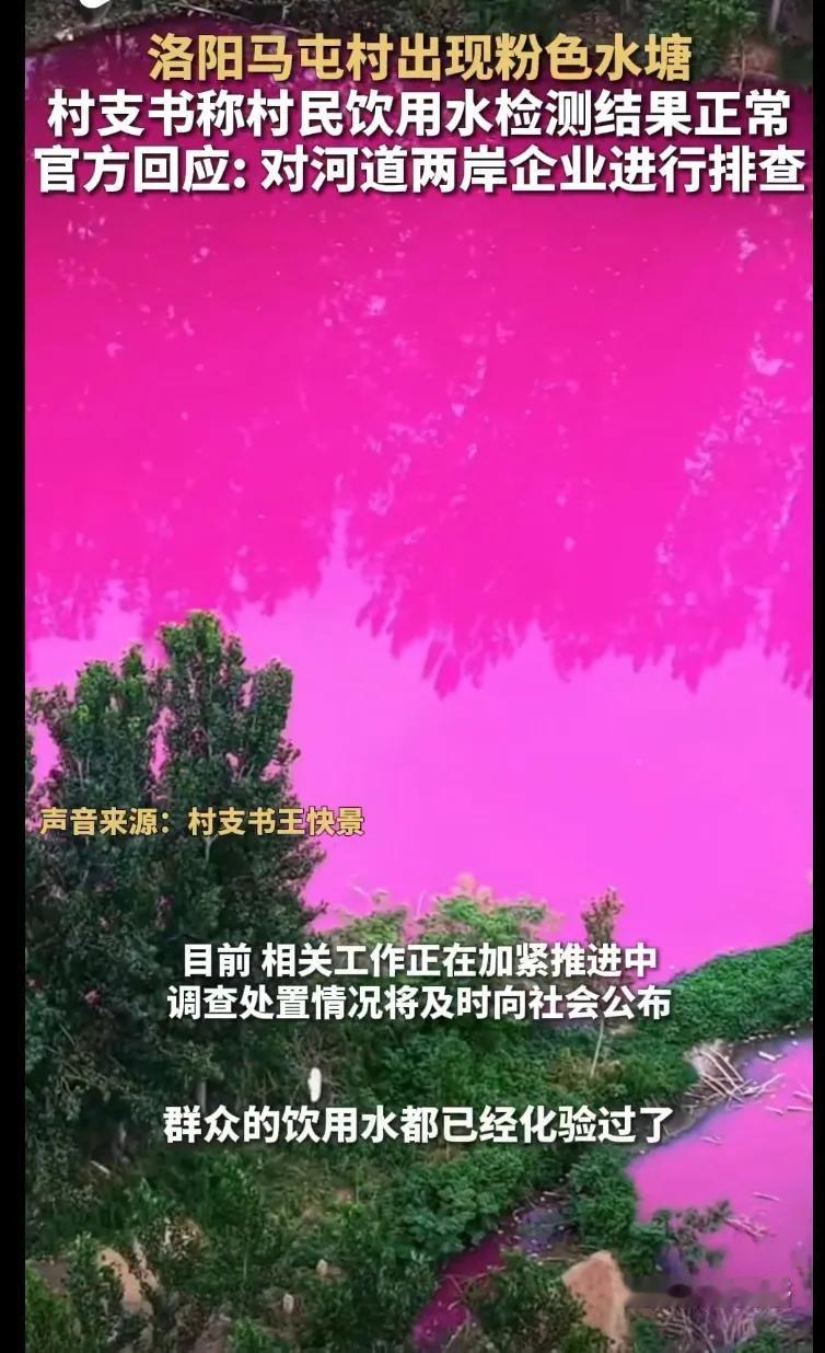 这颜色，有点恐怖啊！