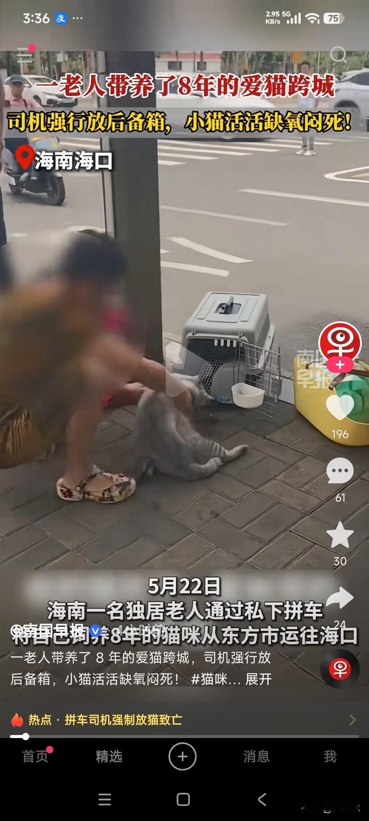 海南一独居老人通过私下拼车将自己饲养8年的爱猫从东方市运往海口，司机强行放后备箱