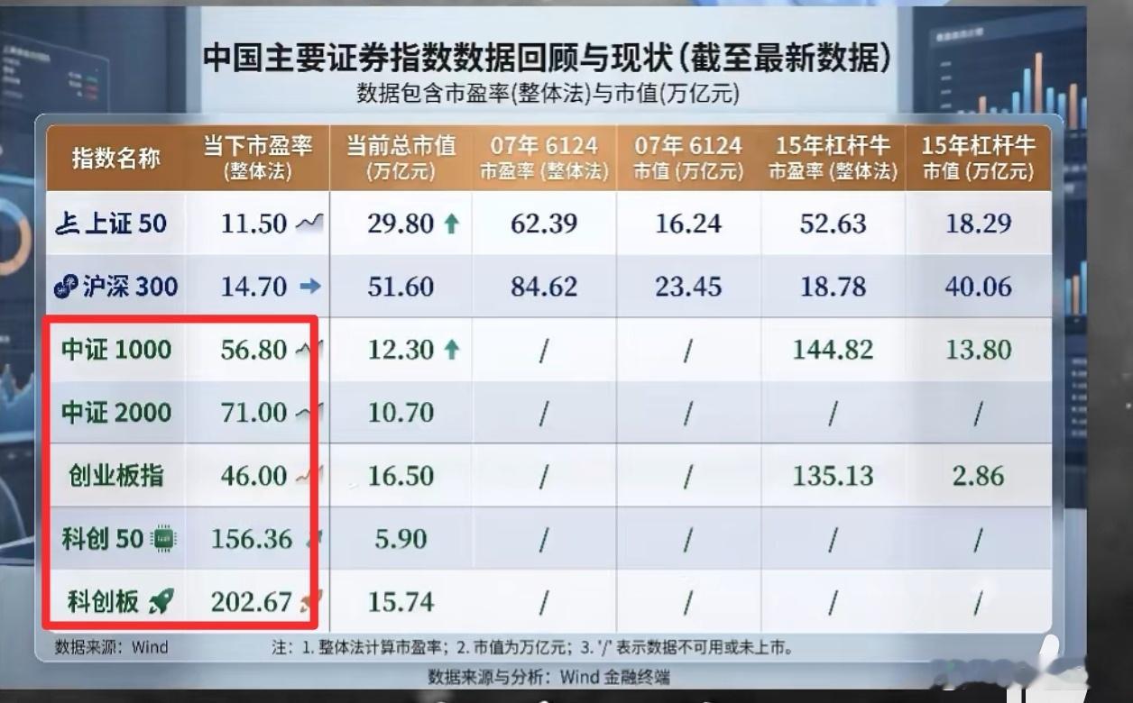 它们到底有多贵，自己看。买这样的股票不亏掉底裤，天理不容。不要对它们抱有任何奢望