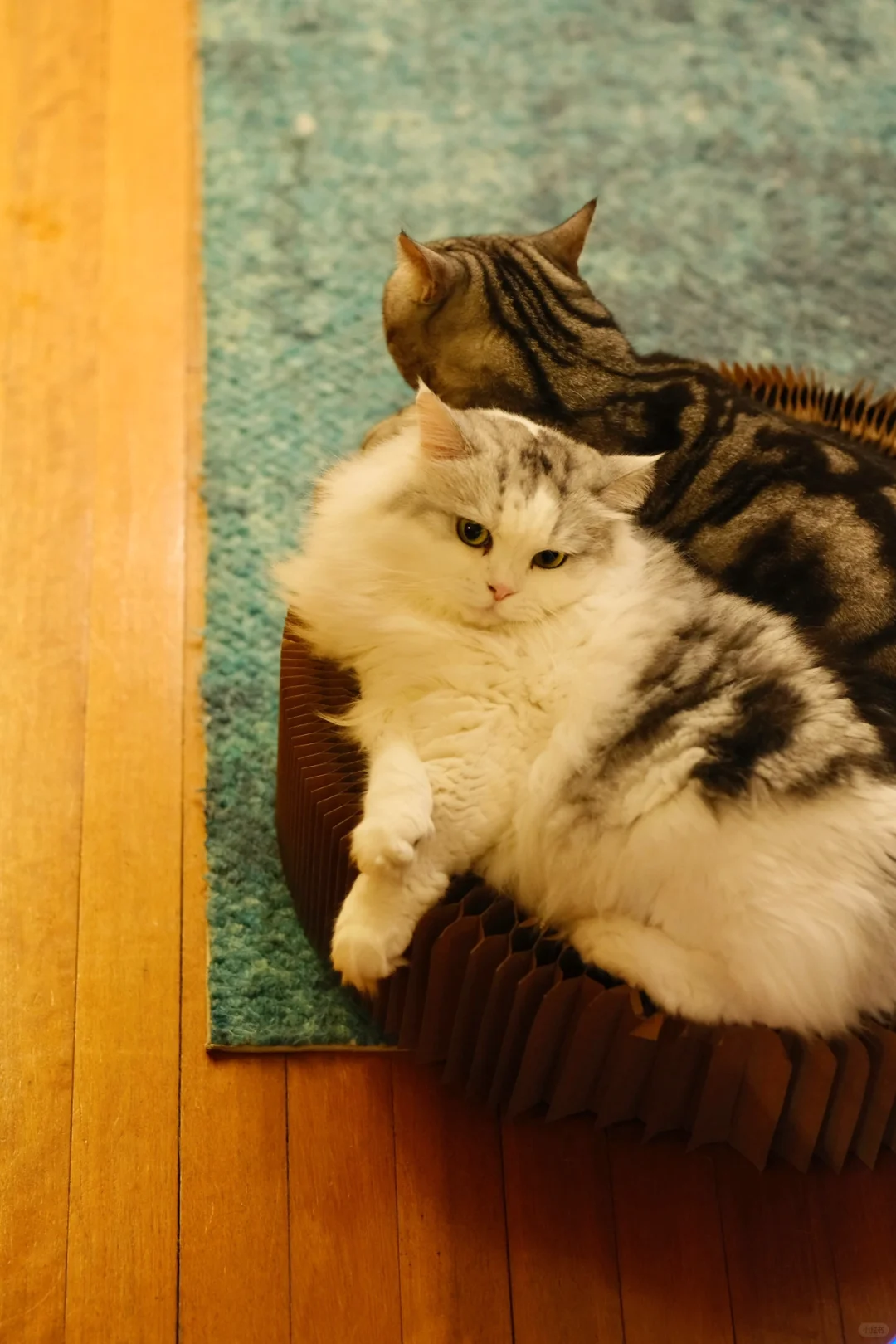 被喜欢的人坚定选择是多么温柔浪漫的事