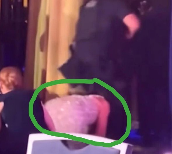 记录者超话记录者超话原来撅着屁股爬进白宫安保圈，又被安保推出来的是这个女人啊！谁