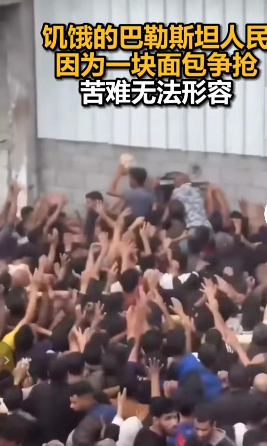 饥饿的巴勒斯坦人为了一块面包争夺，这场面让人看了觉得很无奈。
巴勒斯坦什么时候才