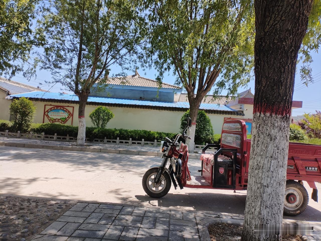 今天中午，吃过母亲做的苜蓿面条，来到村部的小广场乘凉。刚走近就被喧闹声吸引，一辆