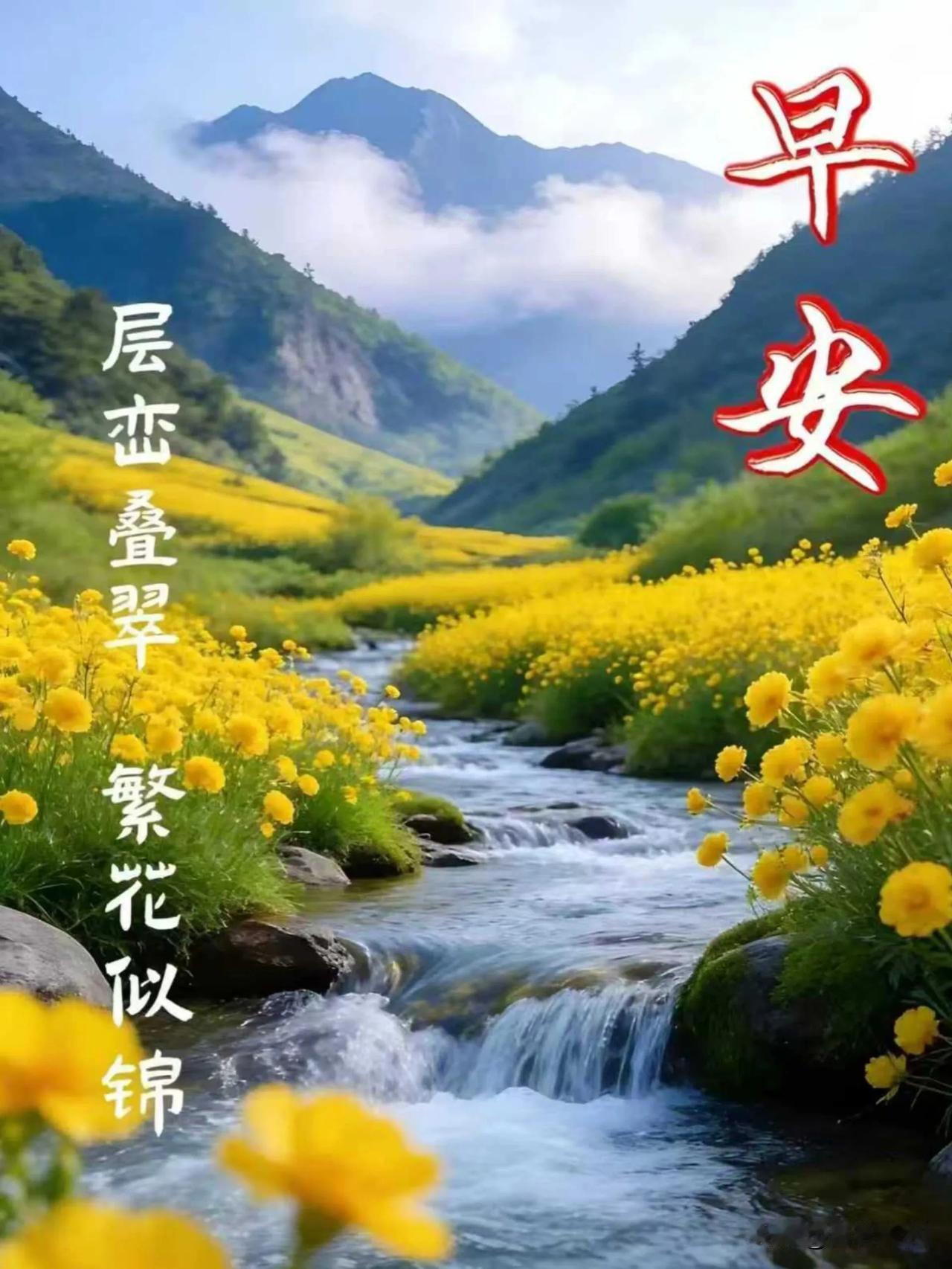 清晨一份温柔祝福，愿我的牵挂，陪你度过一整天。