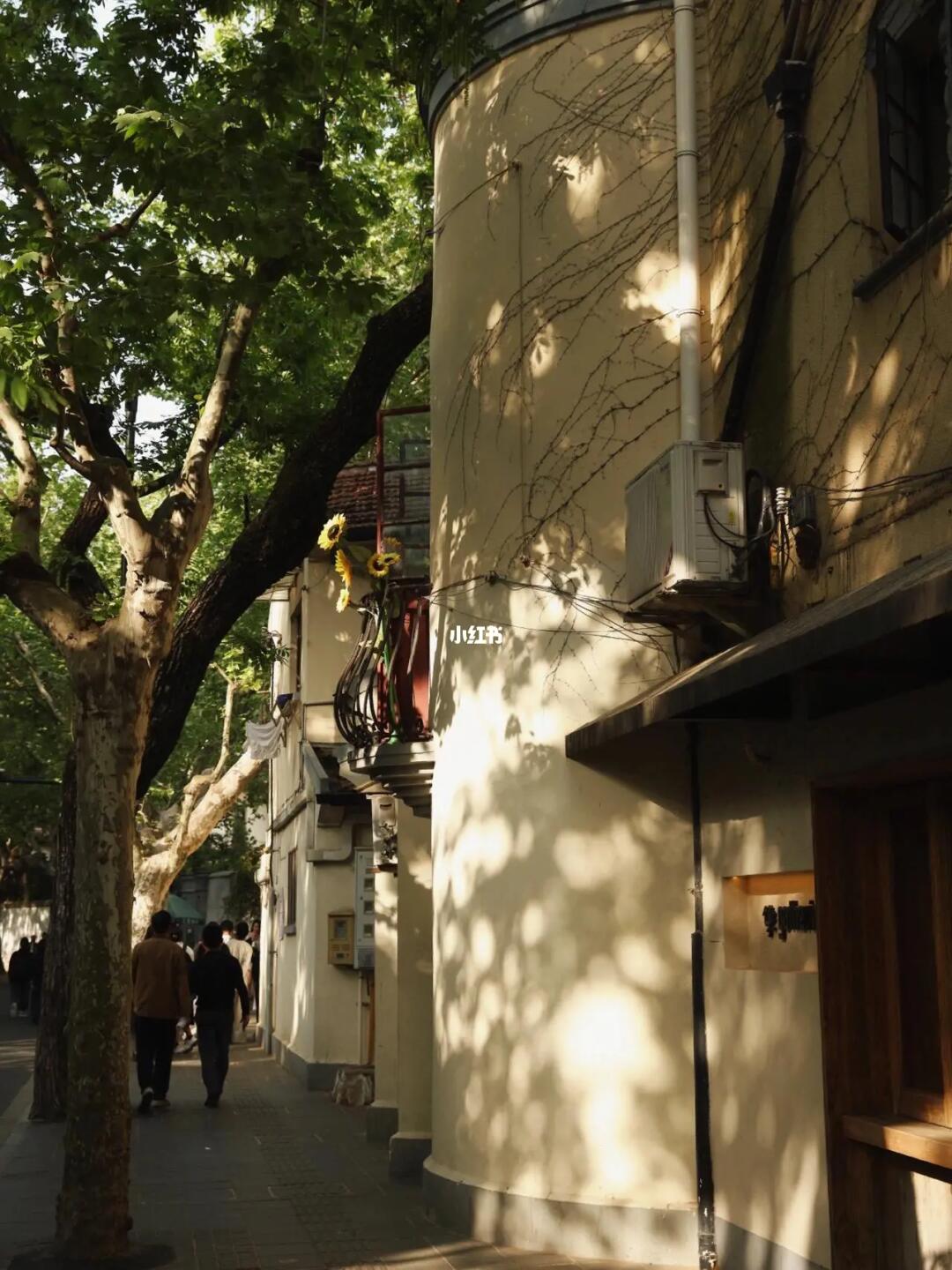 立夏…在上海感受到了烟火气