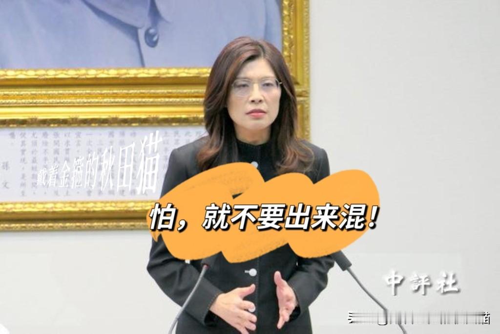 郑丽文说：怕就不要出来混！大家不敢做的事，让我来！访陆后我的路线得到压倒性支持，