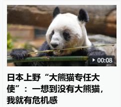 一想到没有大熊猫就有危机感，这个世界就是弱肉强食的社会，中国人民站起来，不是说随