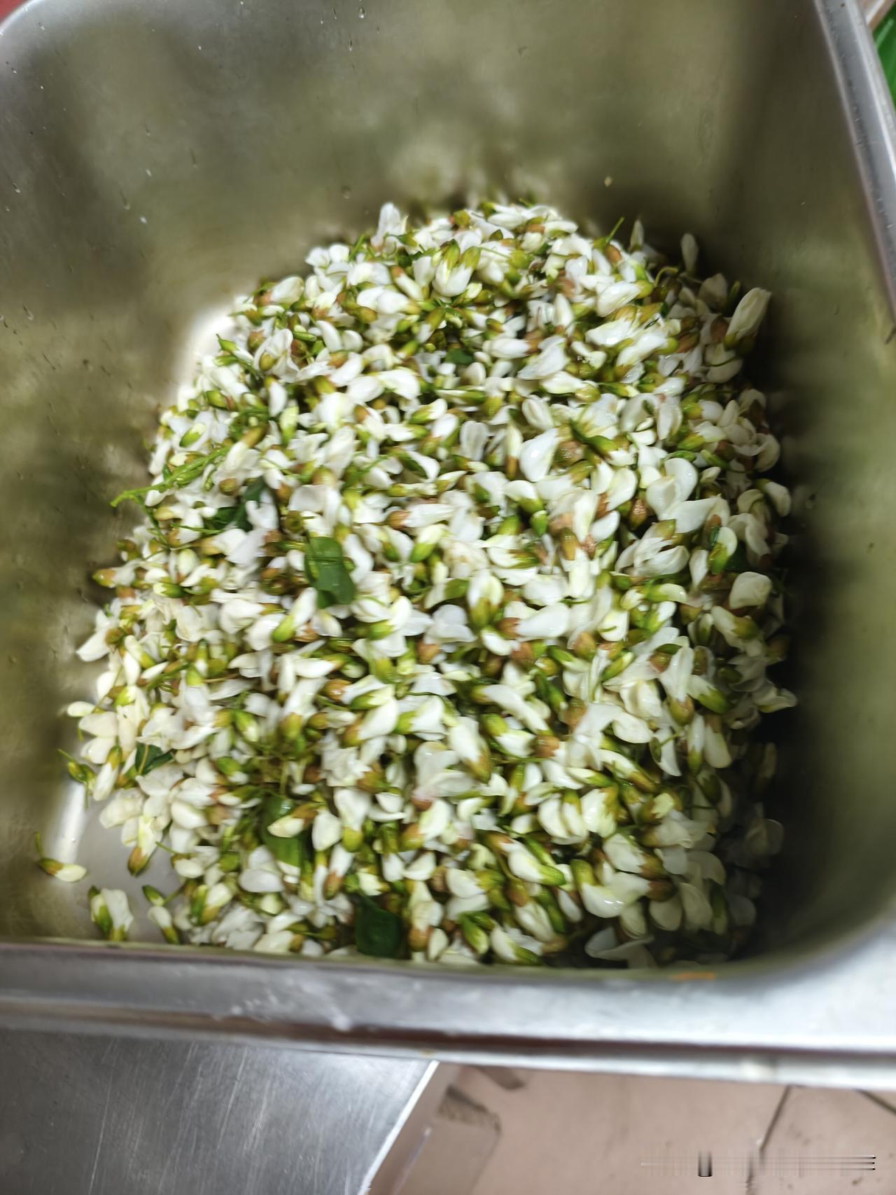 亲家从河南老家寄来的槐花，让我这个“菜鸟”给嚯嚯的成咸菜了！

给大家看看我嚯嚯