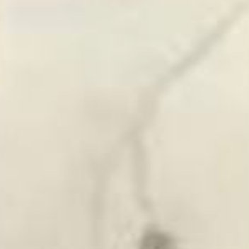 阳光赋予向上的力量，信用筑牢相处的根基，这便是最实在的正能量。不欺人、不欺心，以