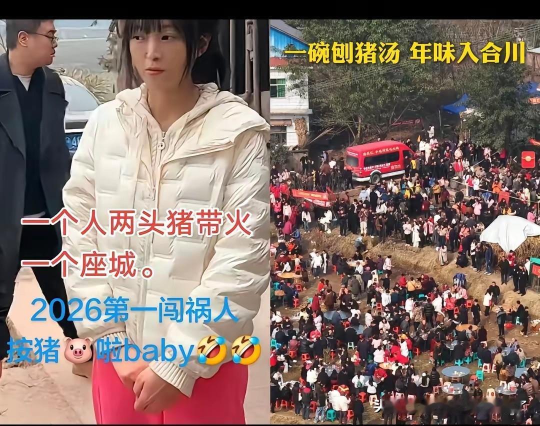 我问我哥们：杀猪宴结束了，合川呆呆这一次能赚100万吧？
哥们直接笑我：“100