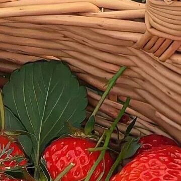 我的脑子装了半袋云朵，一半用来飘着发呆，一半用来储存奇奇怪怪的念头，比如想和路灯