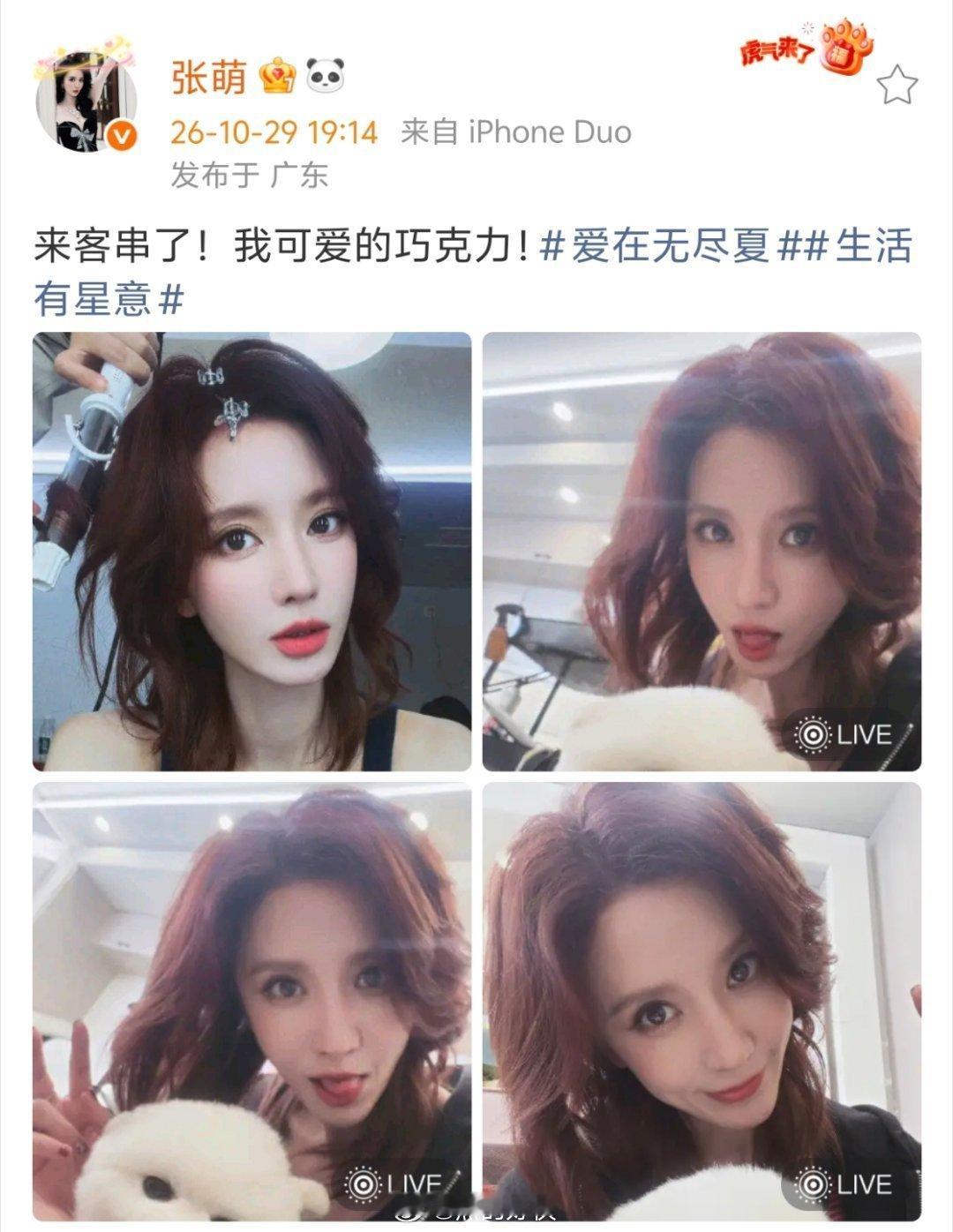 张萌客串孟子义丁禹兮新剧张萌抱着孟子义狗狗合照爱在无尽夏 看片场花絮画面温馨治愈