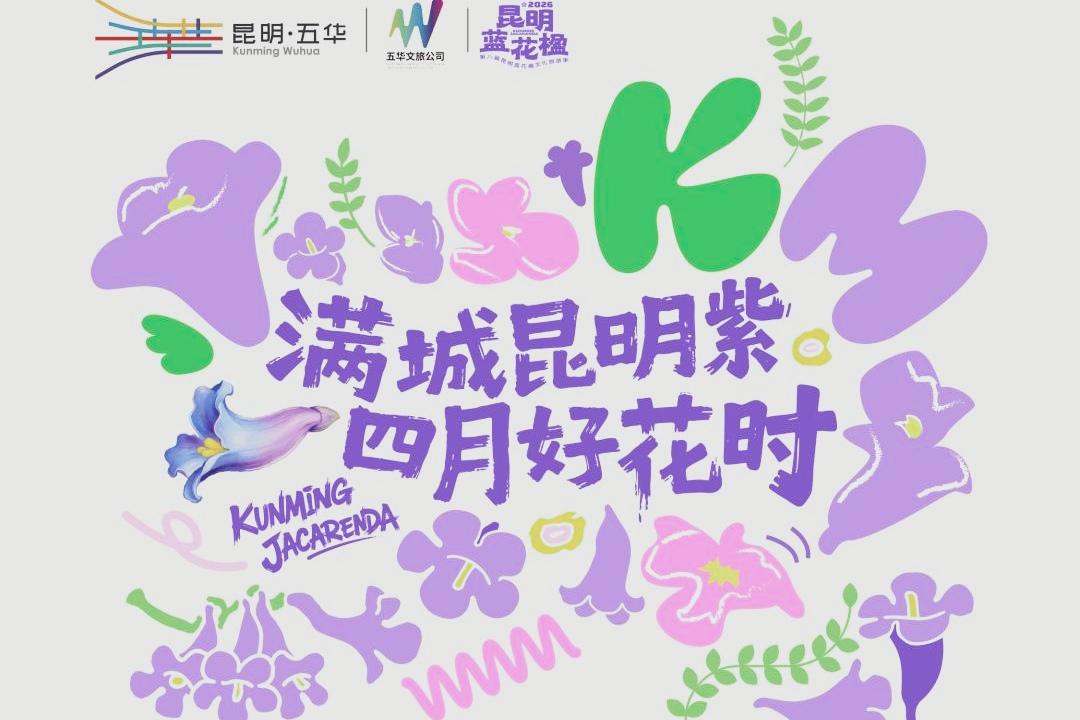 🔥 昆明蓝花楹季招商！百万客流+百亿曝光，商机爆了！2026第八届昆明蓝花楹文