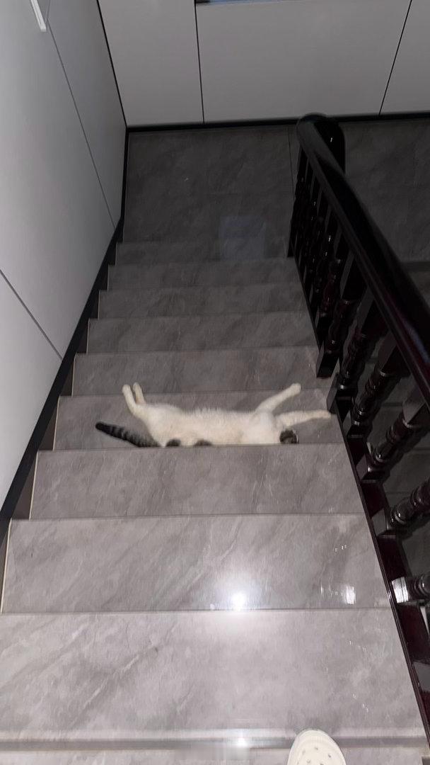 哈咯。 